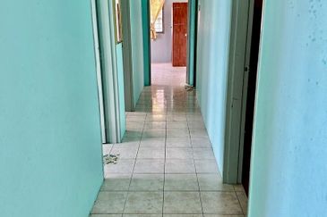 Evergreen Park Acorn and Hazel