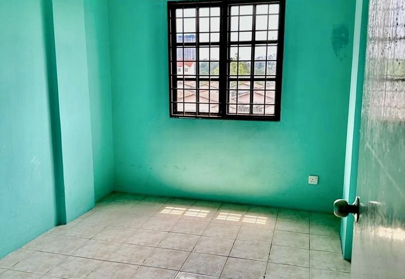 Evergreen Park Acorn and Hazel