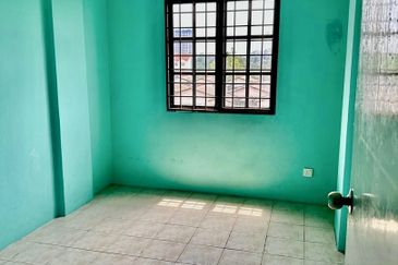 Evergreen Park Acorn and Hazel