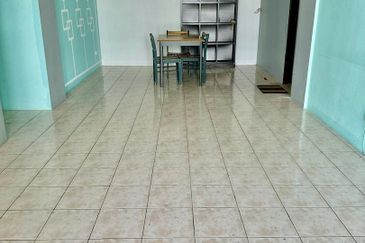 Evergreen Park Acorn and Hazel