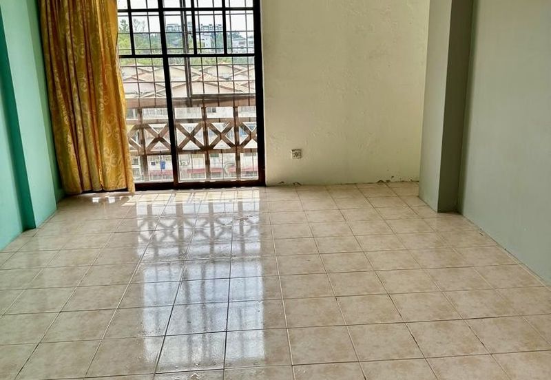 Evergreen Park Acorn and Hazel