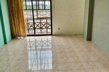 Evergreen Park Acorn and Hazel