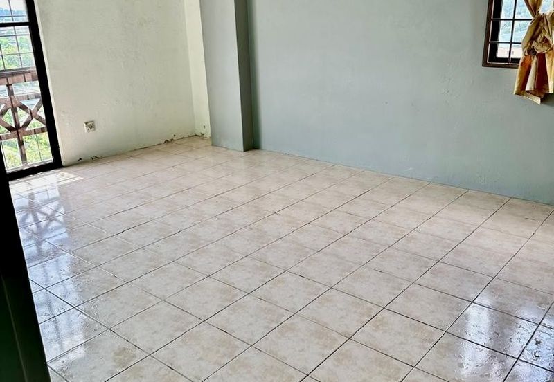 Evergreen Park Acorn and Hazel