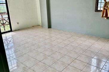 Evergreen Park Acorn and Hazel