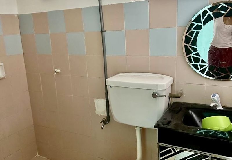 Evergreen Park Acorn and Hazel