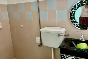 Evergreen Park Acorn and Hazel