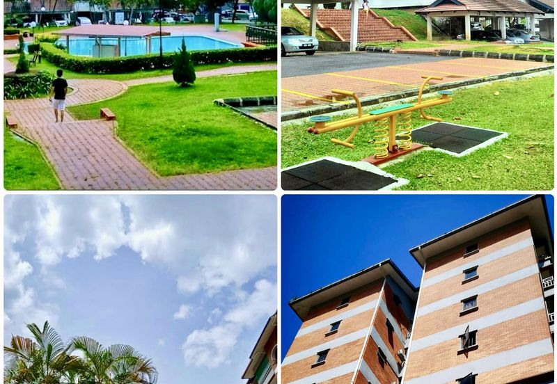 Evergreen Park Acorn and Hazel