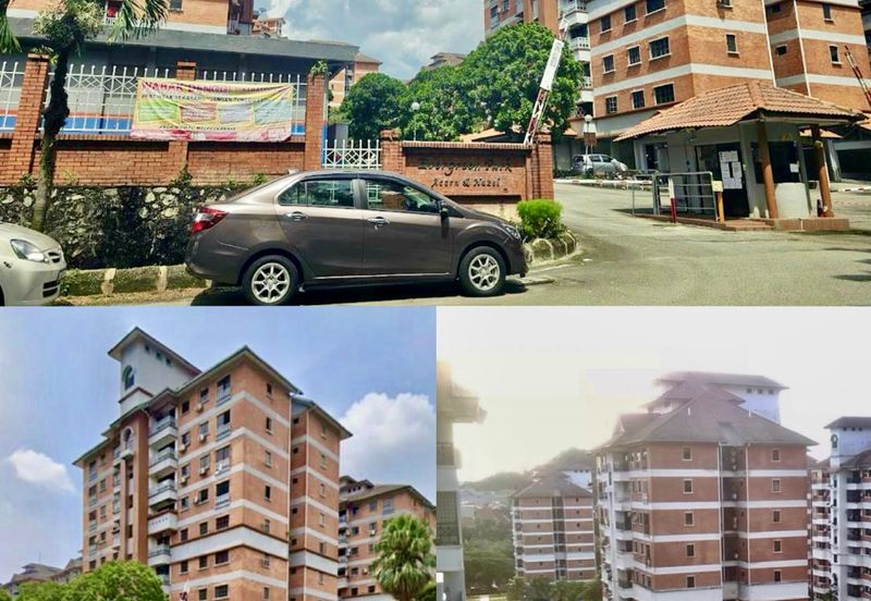 Evergreen Park Acorn and Hazel