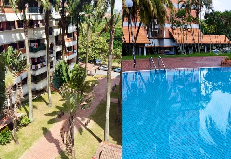 Evergreen Park Acorn and Hazel