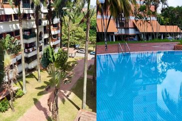 Evergreen Park Acorn and Hazel
