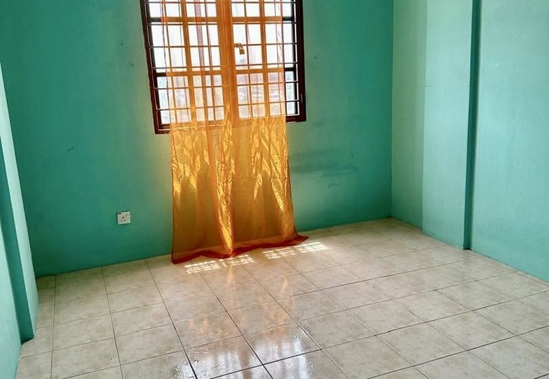 Evergreen Park Acorn and Hazel