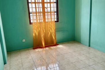 Evergreen Park Acorn and Hazel