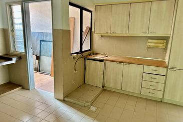 Evergreen Park Acorn and Hazel