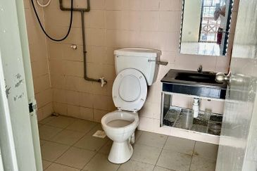 Evergreen Park Acorn and Hazel