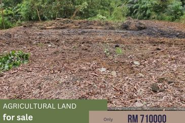 Kempas Denai AGRICULTURAL Jb〖0.5 acres〗 NON-BUMI 