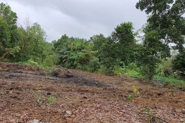 Kempas Denai AGRICULTURAL Jb〖0.5 acres〗 NON-BUMI 