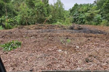 Kempas Denai AGRICULTURAL Jb〖0.5 acres〗 NON-BUMI 