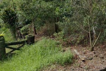 Kempas Denai AGRICULTURAL Jb〖0.5 acres〗 NON-BUMI 