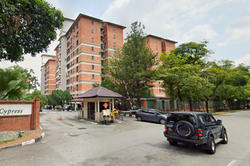 Evergreen Park Cypress