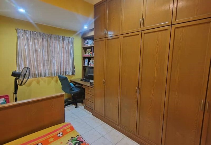 Evergreen Park Cypress