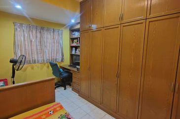 Evergreen Park Cypress