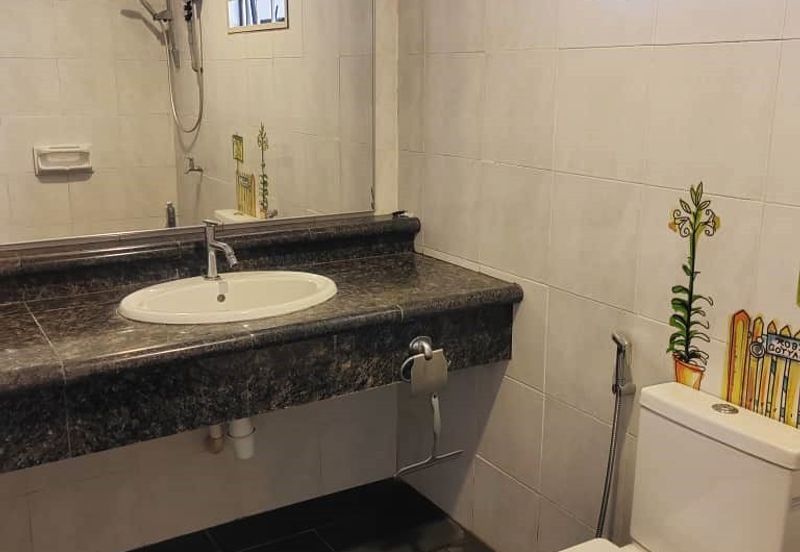 Evergreen Park Cypress