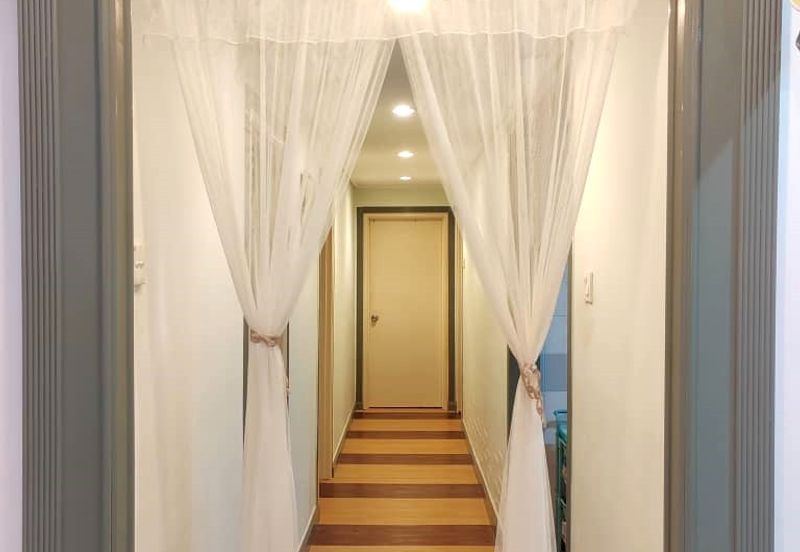 Evergreen Park Cypress