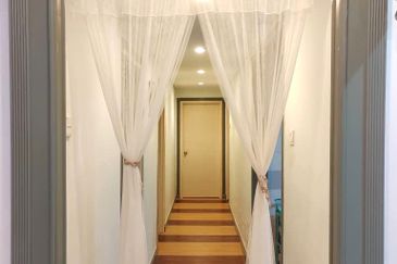 Evergreen Park Cypress