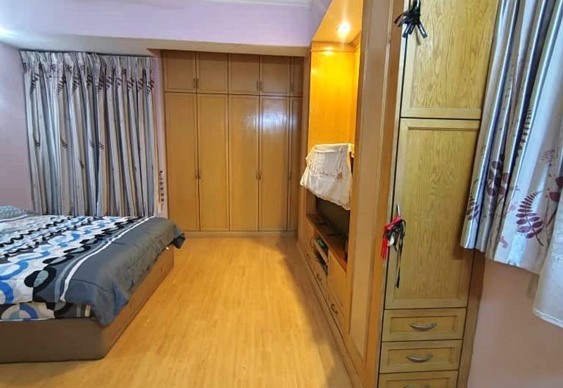 Evergreen Park Cypress