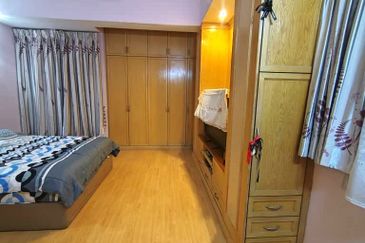 Evergreen Park Cypress