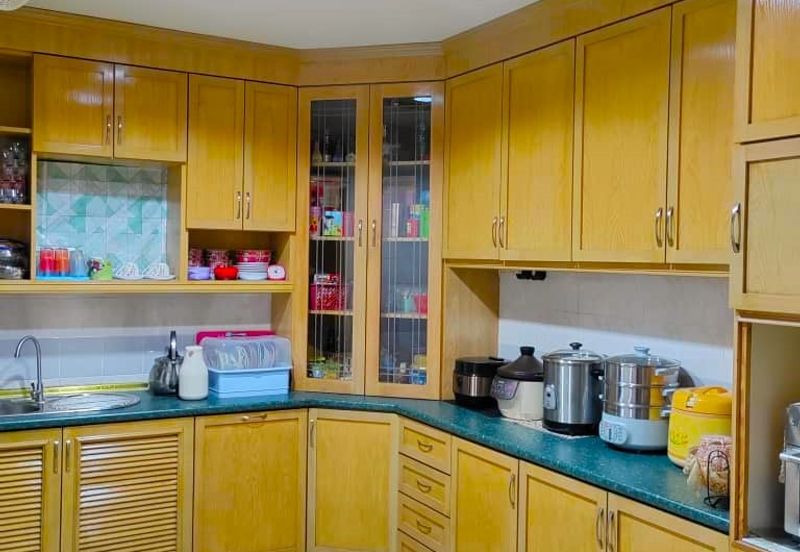 Evergreen Park Cypress