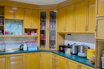 Evergreen Park Cypress