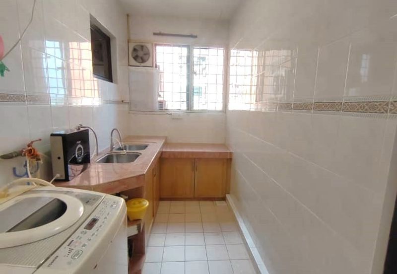 Evergreen Park Cypress