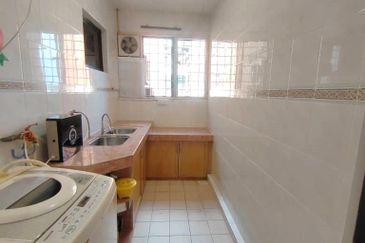 Evergreen Park Cypress