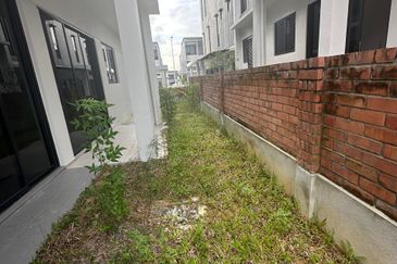 Bromelia Bukit Puchong