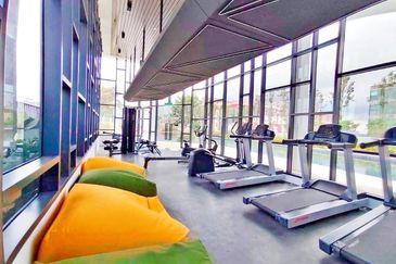 Yolo Signature Suites