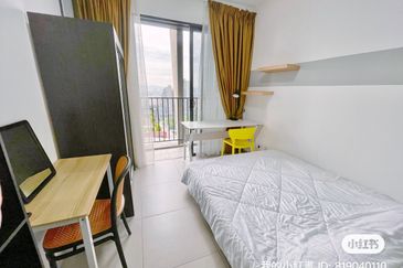 Yolo Signature Suites