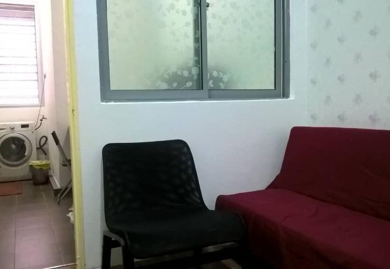 Taragon Puteri Bintang