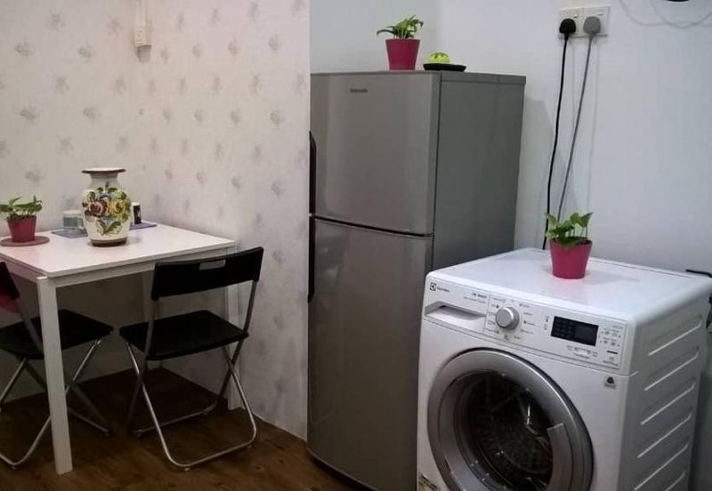 Taragon Puteri Bintang