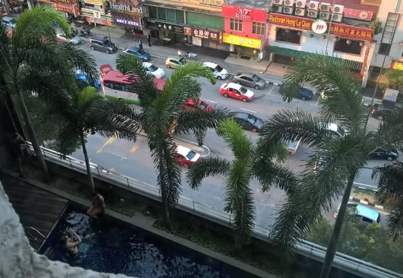 Taragon Puteri Bintang