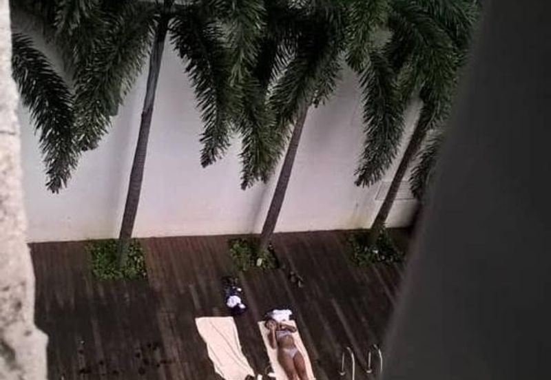 Taragon Puteri Bintang