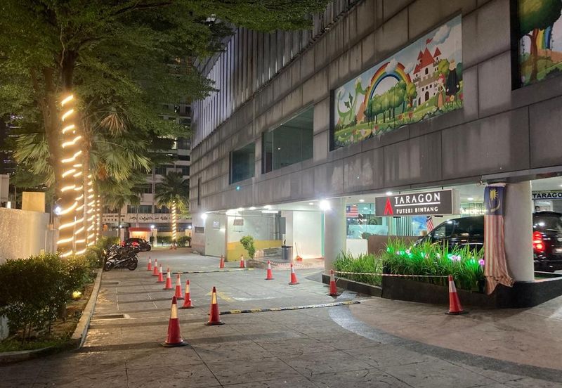 Taragon Puteri Bintang