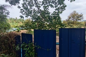 Rubber Land Machap Melaka for Sale