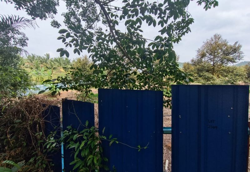 Rubber Land Machap Melaka for Sale