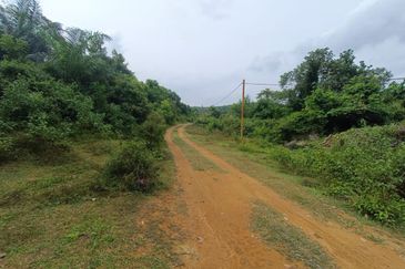 Rubber Land Machap Melaka for Sale