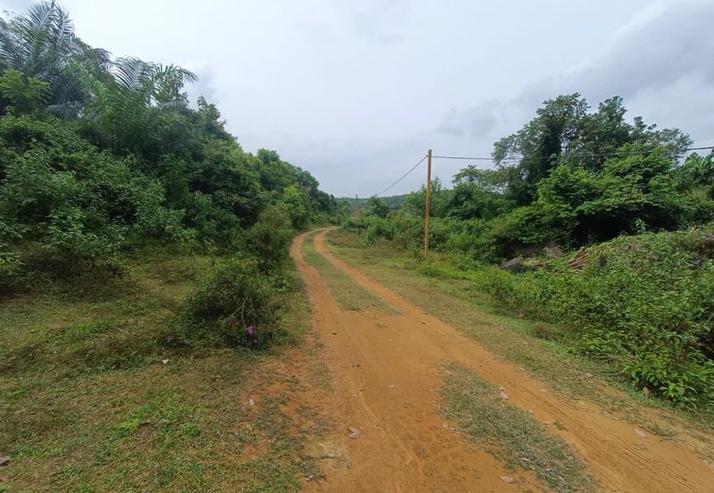 Rubber Land Machap Melaka for Sale