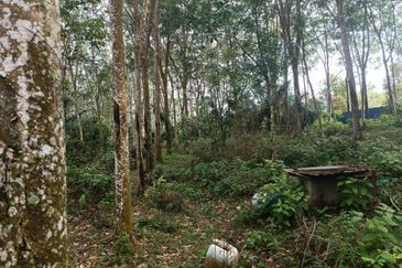 Rubber Land Machap Melaka for Sale