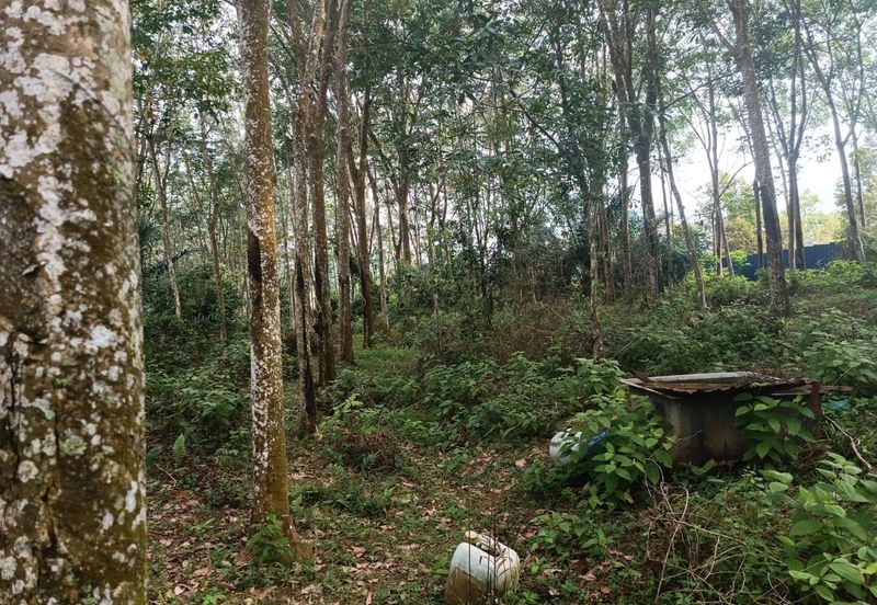 Rubber Land Machap Melaka for Sale