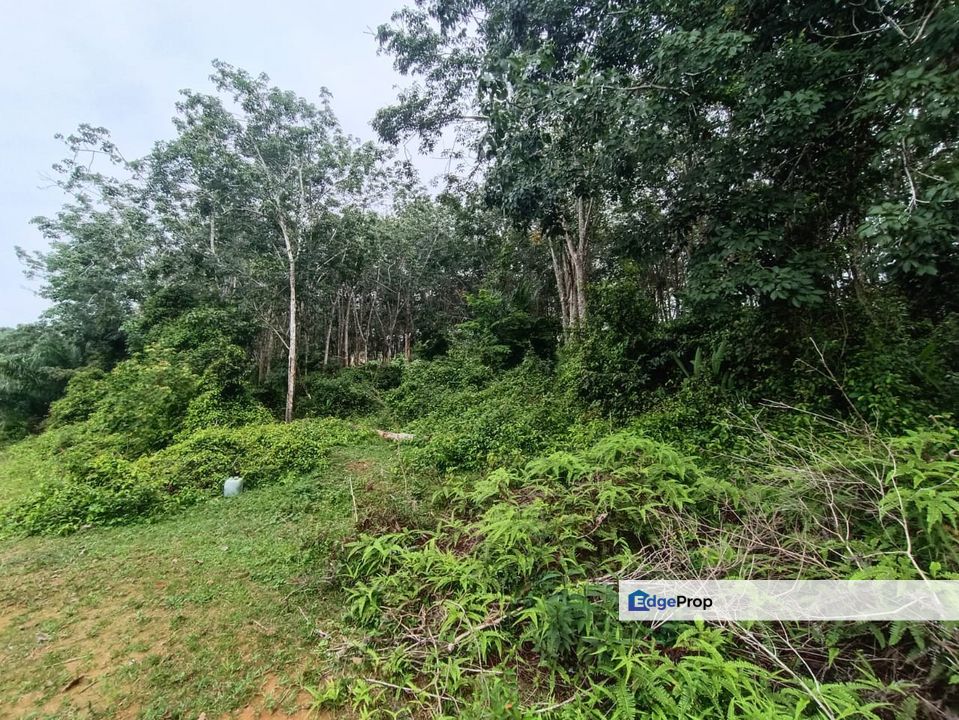 Rubber Land Machap Melaka for Sale, Melaka, Durian Tunggal