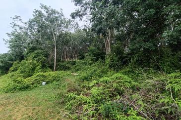 Rubber Land Machap Melaka for Sale